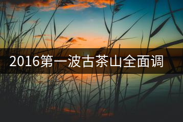 2016第一波古茶山全面調(diào)研第四站——臨滄·大雪山、小戶賽