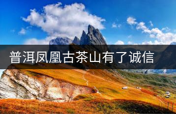 普洱鳳凰古茶山有了誠信聯(lián)盟標(biāo)準(zhǔn)
