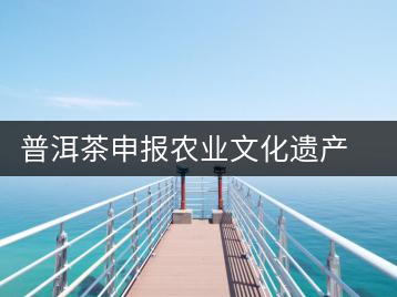 普洱茶申報農(nóng)業(yè)文化遺產(chǎn) 糧農(nóng)專家赴滇考察