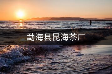 勐?？h昆海茶廠