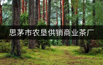 思茅市農墾供銷商業(yè)茶廠