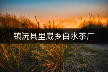 鎮(zhèn)沅縣里崴鄉(xiāng)白水茶廠