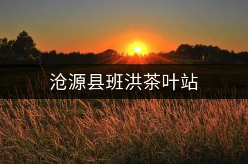 滄源縣班洪茶葉站