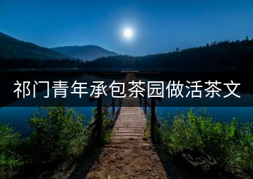 祁門(mén)青年承包茶園做活茶文章 創(chuàng)業(yè)之路越走越寬