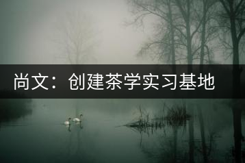 尚文：創(chuàng)建茶學(xué)實(shí)習(xí)基地努力推廣茶文化