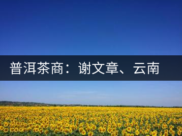普洱茶商：謝文章、云南谷申商貿有限公司總經理