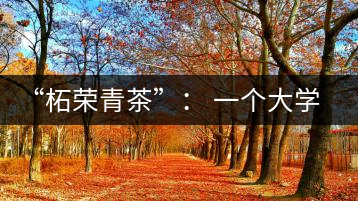 “柘榮青茶”: 一個(gè)大學(xué)生的創(chuàng)業(yè)夢(mèng)想