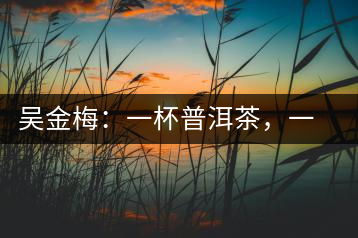 吳金梅：一杯普洱茶，一份云南情