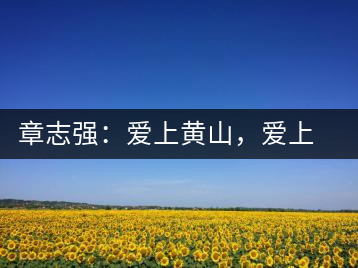 章志強：愛上黃山，愛上黃山的茶