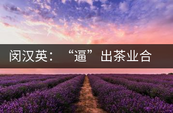 閔漢英：“逼”出茶業(yè)合作社，帶領(lǐng)村民走上致富路