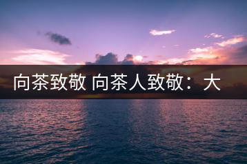 向茶致敬 向茶人致敬:大益集團(tuán)吳遠(yuǎn)之先生