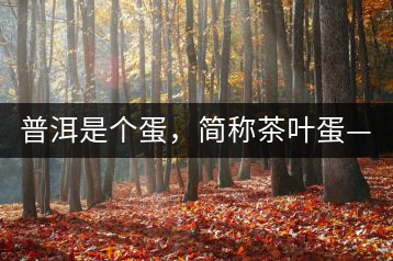 普洱是個(gè)蛋，簡(jiǎn)稱茶葉蛋——楊鎮(zhèn)瑜訪談錄