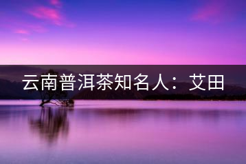 云南普洱茶知名人:艾田