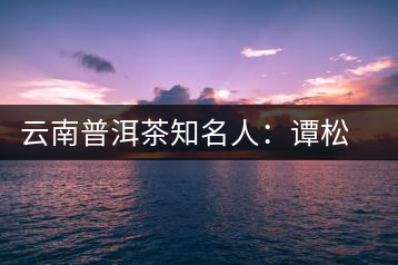 云南普洱茶知名人:譚松發(fā)