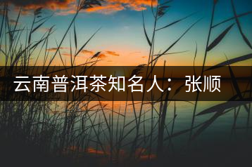 云南普洱茶知名人:張順高