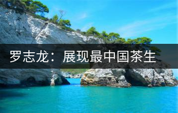 羅志龍:展現(xiàn)最中國(guó)茶生活