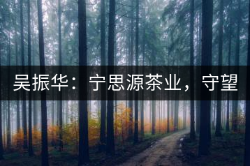 吳振華：寧思源茶業(yè)，守望家鄉(xiāng) 做好“金獎茶王”