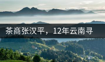 茶商張漢平，12年云南尋茶路