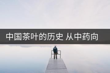 中國茶葉的歷史 從中藥向飲品的轉(zhuǎn)變
