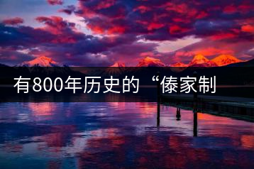 有800年歷史的“傣家制造構(gòu)皮紙的前世今生