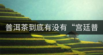 普洱茶到底有沒有“宮廷普洱”一說？它到底是什么？