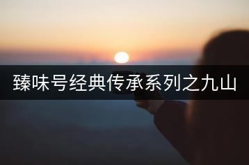 臻味號(hào)經(jīng)典傳承系列之九山真味套裝2016春