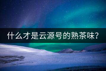 什么才是云源號的熟茶味？