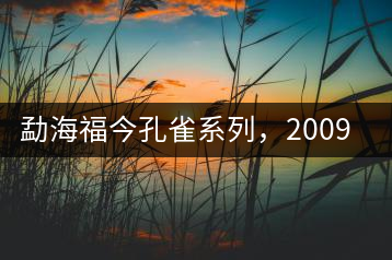 勐海福今孔雀系列，2009年尊享青餅