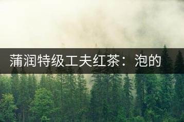 蒲潤(rùn)特級(jí)工夫紅茶：泡的方便，喝的舒適