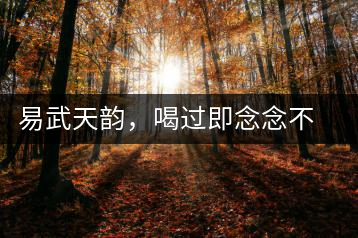 易武天韻，喝過即念念不忘的茶中皇后