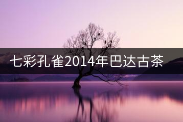 七彩孔雀2014年巴達(dá)古茶山開湯品鑒