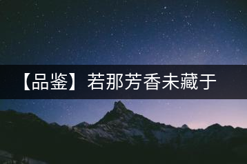 【品鑒】若那芳香未藏于樟野，怎會這般獨具韻味？
