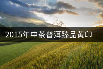 2015年中茶普洱臻品黃印專業(yè)品評(píng)