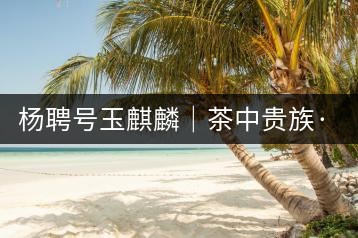 楊聘號玉麒麟|茶中貴族·冰島古樹