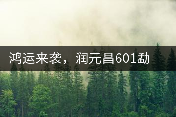 鴻運(yùn)來襲，潤(rùn)元昌601勐海紅韻熟茶即將上市