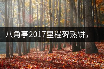 八角亭2017里程碑熟餅，自先發(fā)酵而后愛(ài)人