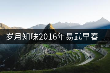 歲月知味2016年易武早春正式上市