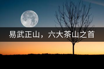 易武正山，六大茶山之首