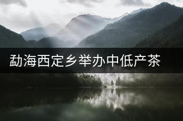 勐海西定鄉(xiāng)舉辦中低產(chǎn)茶園改造培訓(xùn)