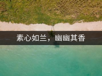 素心如蘭，幽幽其香