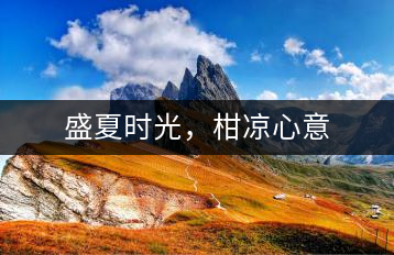 盛夏時(shí)光,柑涼心意