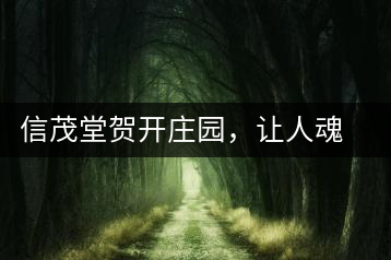 信茂堂賀開莊園，讓人魂牽夢繞的名山古樹茶