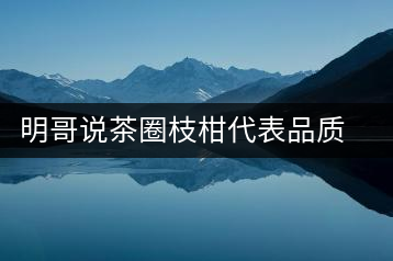 明哥說茶圈枝柑代表品質(zhì)高點(diǎn)，是玩家級的產(chǎn)品