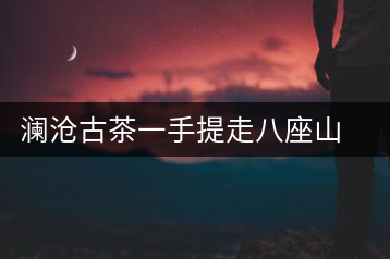 瀾滄古茶一手提走八座山(下)開湯品鑒