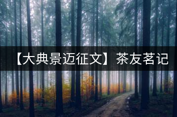 【大典景邁征文】茶友茗記在心 開(kāi)湯品鑒