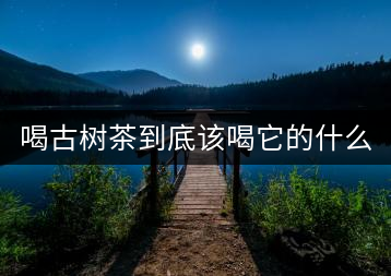 喝古樹茶到底該喝它的什么？