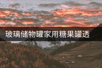 玻璃儲物罐家用糖果罐透明創(chuàng)意花瓣裝茶葉罐子蜜餞普洱茶密封茶罐