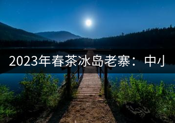 2023年春茶冰島老寨：中小樹混采2500-3000元／公斤，大樹：7000-8000元／公斤，古樹混采：28000-36000元／公斤