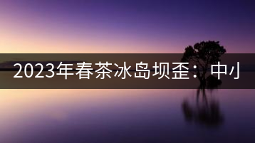 2023年春茶冰島壩歪：中小樹(shù)800元／公斤，古樹(shù)1400-1600元／公斤