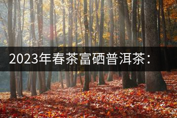 2023年春茶富硒普洱茶：1.富硒有機(jī)手工生普，市場指導(dǎo)價(jià)800元／公斤；2.富硒有機(jī)一級紅茶，市場指導(dǎo)價(jià)800元／公斤；3.富硒有機(jī)熟普餅，市場指導(dǎo)價(jià)1000元／公斤；4.富硒有機(jī)月光白茶，市場指導(dǎo)價(jià)800元／公斤。